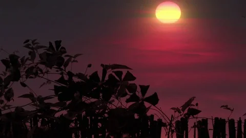 Sunset Sky Background 스톡 동영상 103041914