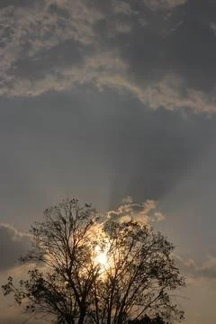 Sunset sky for background or sunrise sky and cloud at morning.	 Stock Photos