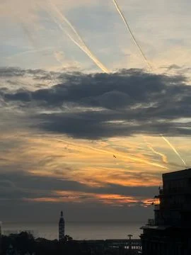 Sunset sky with clouds and airplane contrails, bird flying, buildings Stock Photos
