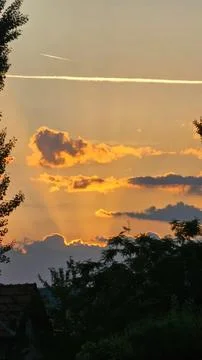 Sunset sky with clouds and silhouettes of trees Foto stock