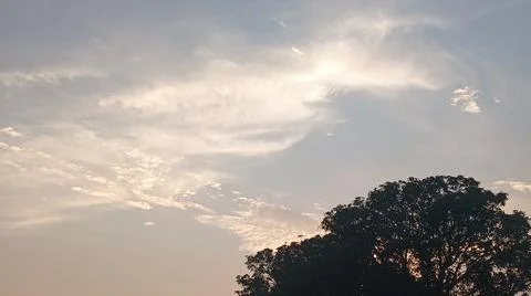 Sunset Sky with Clouds and Tree Silhouette Background Stock Photos