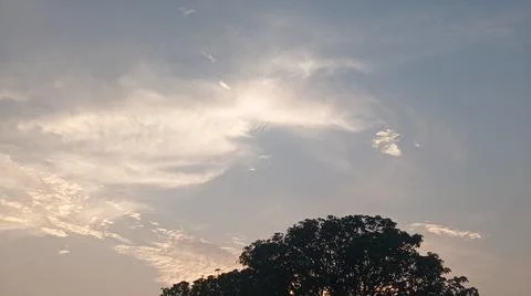 Sunset Sky with Clouds and Tree Silhouette Background Stock-Fotos
