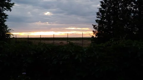 Sunset sky with clouds Stock Footage 312230712