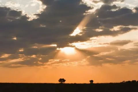 Sunset sky with clouds over a flat landscape with trees Stock Photos