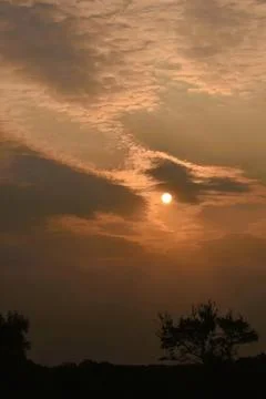 Sunset sky with clouds over trees and horizon Stock Photos