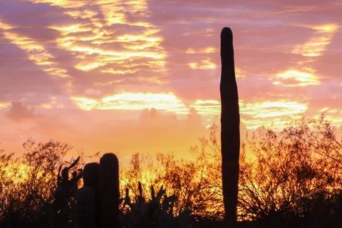 Sunset sky clouds Stock Photos