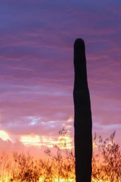 Sunset sky clouds 库存照片