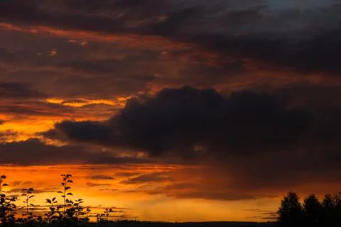 Sunset sky clouds. Sky clouds in the sunset. Stock Photos