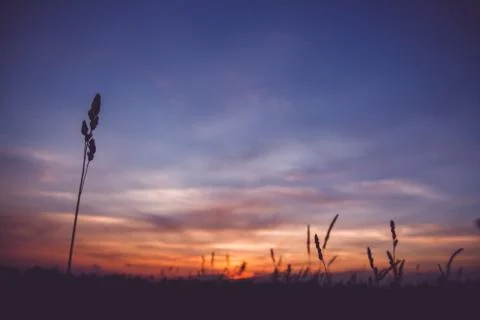 Sunset sky clouds.Countryside Landscape Under Scenic Colorful Sky At Sunset D Stock Photos