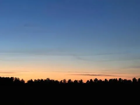 Sunset sky with colorful clouds over dark tree line Stock Photos