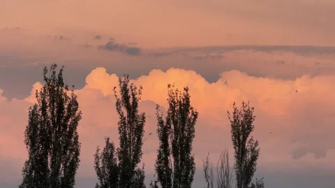 Sunset sky 動画素材 279025243