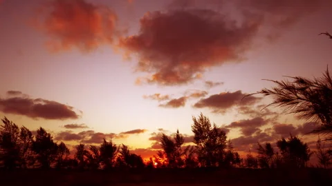Sunset sky glows with warm golden and orange hues as soft clouds drift overhead. Stock Footage 341455346