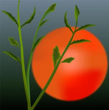 Sunset sky gold sun Иллюстрация