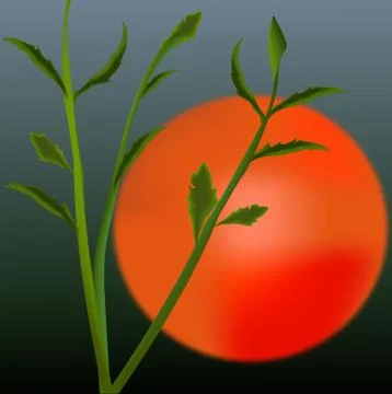 Sunset sky gold sun Illustrazione stock