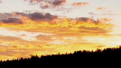 Sunset sky with orange clouds over the forest. Two planes fly by fast Stock Footage 142521309