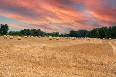 Sunset sky over a field of harvested wheat in bright colors Stock Photos