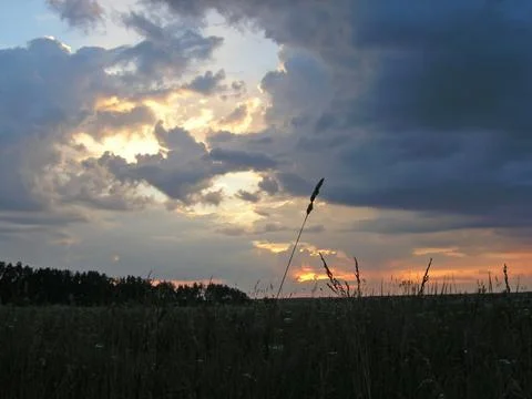 Sunset sky over the field Stock-Fotos