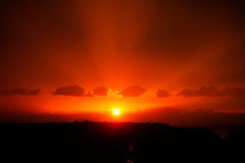 Sunset sky over the forest Stock Photos
