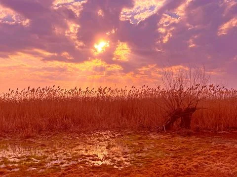 Sunset sky over lake Stock-Fotos
