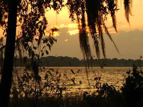 Sunset sky over lake through trees Stock Footage 22957528