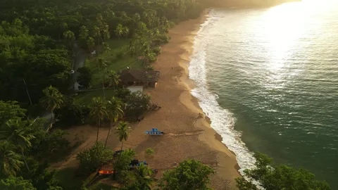Sunset Sky Over Palm-Lined Beach-04 動画素材 322520088