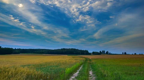 Sunset sky over rye field and sandy road in Poland.  Stock Footage 65019641