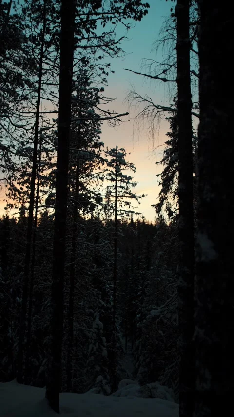 Sunset sky over snowy winter forest in the Korouoma Canyon, Lapland, vertical Stock Footage 284237579