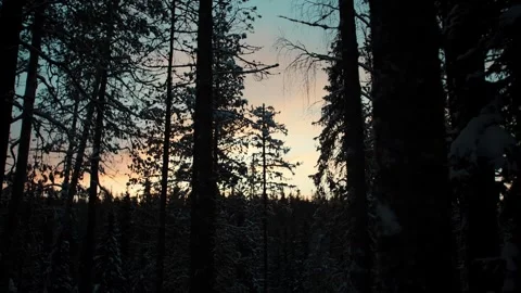 Sunset sky over snowy winter forest in the Korouoma Canyon, Lapland Video stock 284237753