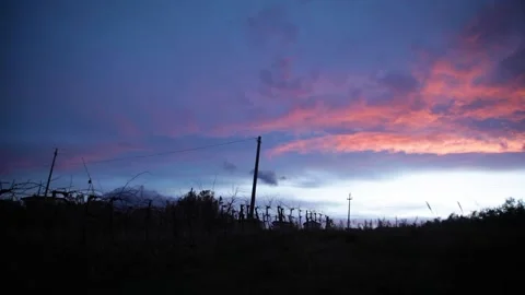 Sunset sky over vegetable gardens countryside, silhouette at sunset Stock Footage 160170532