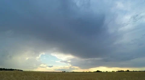 Sunset Sky over a Wheat Field Stockbeeldmateriaal 52098972