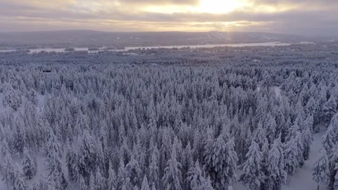 Sunset Sky Overhead Snow Covered Pine Tree Forest in Lapland - Aerial Vidéo 331604116