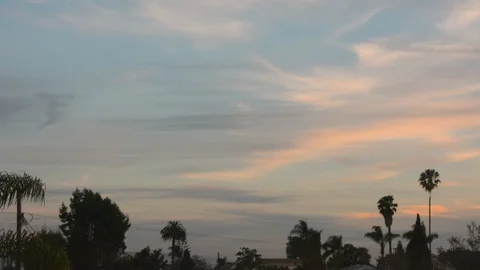 Sunset sky with palm trees and rooftops.  Plane on descent crosses frame. Stock Footage 93319417