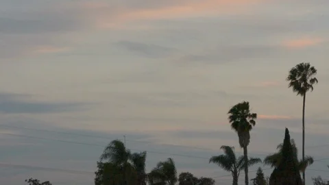 Sunset sky with palm trees and power lines.  Plane on descent crosses frame. Stock Footage 93319475