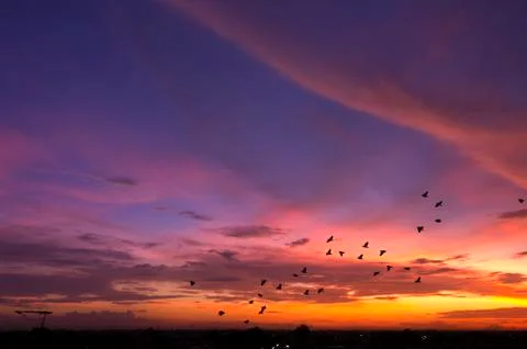 Sunset sky panorama. Stock Photos