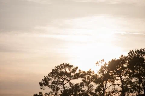 Sunset sky Stock Photos