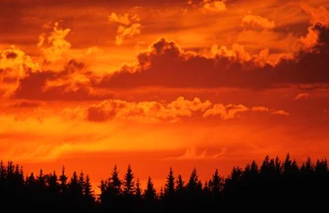 Sunset sky Stock Photos