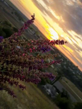 The sunset in the sky Stock Photos
