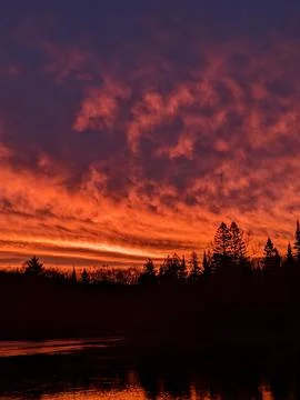 Sunset sky reflecting on a pond in a forest Stock Photos