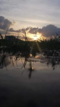 Sunset sky reflection on a pond Stock Photos