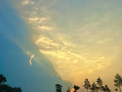 Sunset Sky with Sun Rays Piercing Through the Clouds Above Tree Silhouettes Stock Photos