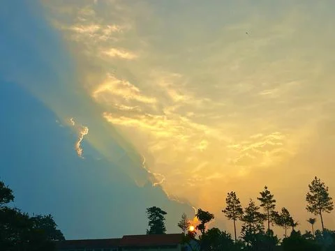 Sunset Sky with Sun Rays Piercing Through the Clouds Above Tree Silhouettes Stock Photos