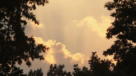 Sunset sky with time lapse clouds framed with oak trees silhouettes Stock Footage 8718407
