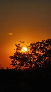 Sunset sky with tree silhouette and orange clouds Stock Photos