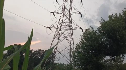 Sunset Sky with Tree Silhouette and Electric Tower Background Стоковые фото