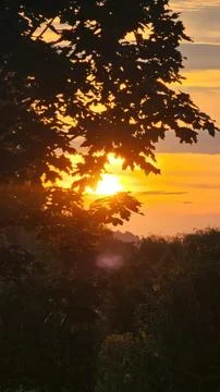 Sunset sky with tree silhouette over a peaceful landscape Stock Photos