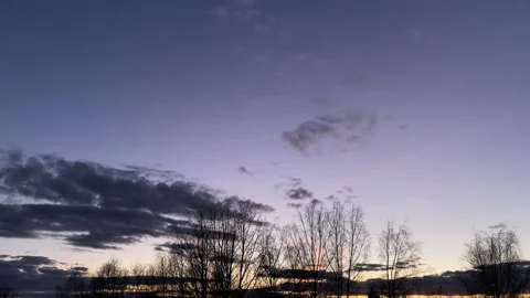 Sunset Sky with Tree Silhouettes Background 動画素材 331461487