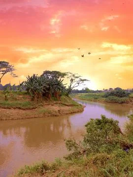 Sunset sky view by the river Stock Photos