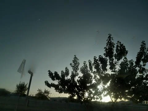 The sunset sky view with the tree branch Stock Photos