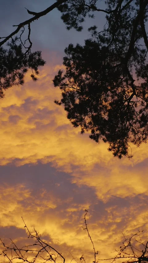 Sunset sky with vivid orange and purple clouds Stock Footage 309925618