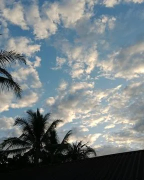 Sunset Sky with White Clouds and Coconut Tree Silhouette Stock Photos